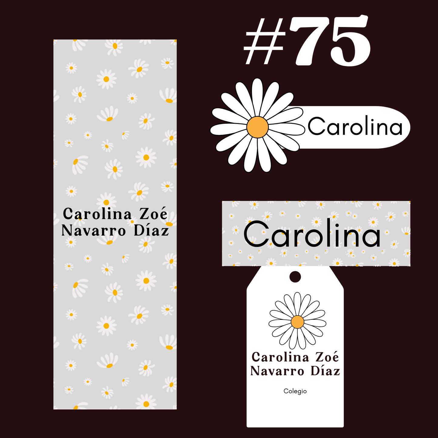 Etiquetas - ESCOLARES  KIT